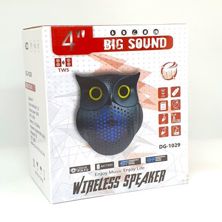 TWS DG-1029 WIRELESS SPEAKER